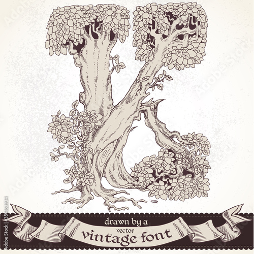 Fable forest hand drawn by a vintage font - K