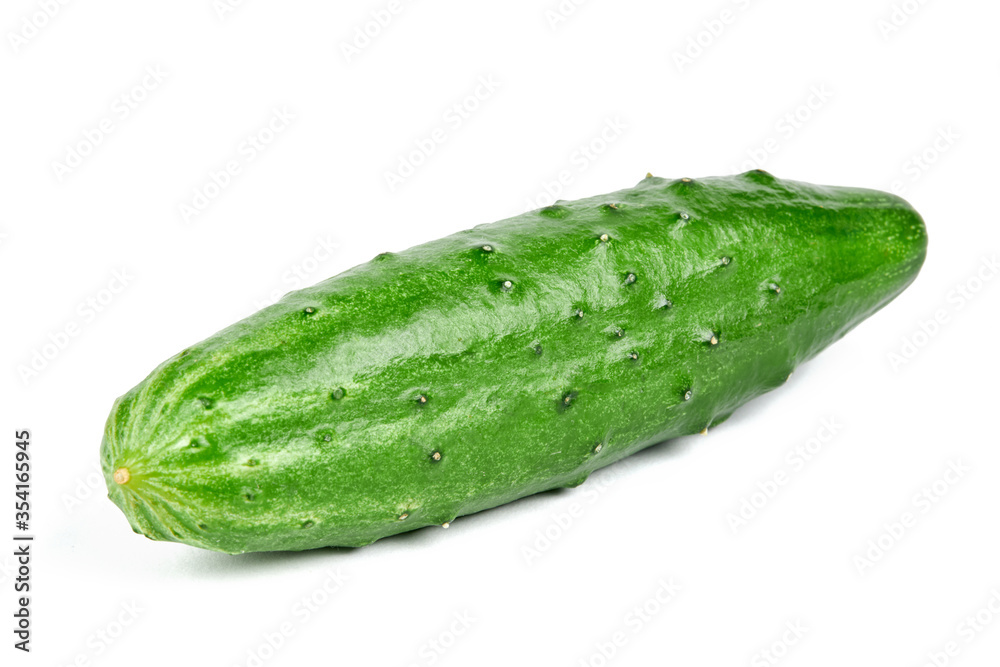 fresh long cucumber isolated on white background. fresh long cucumber isolated on white background.