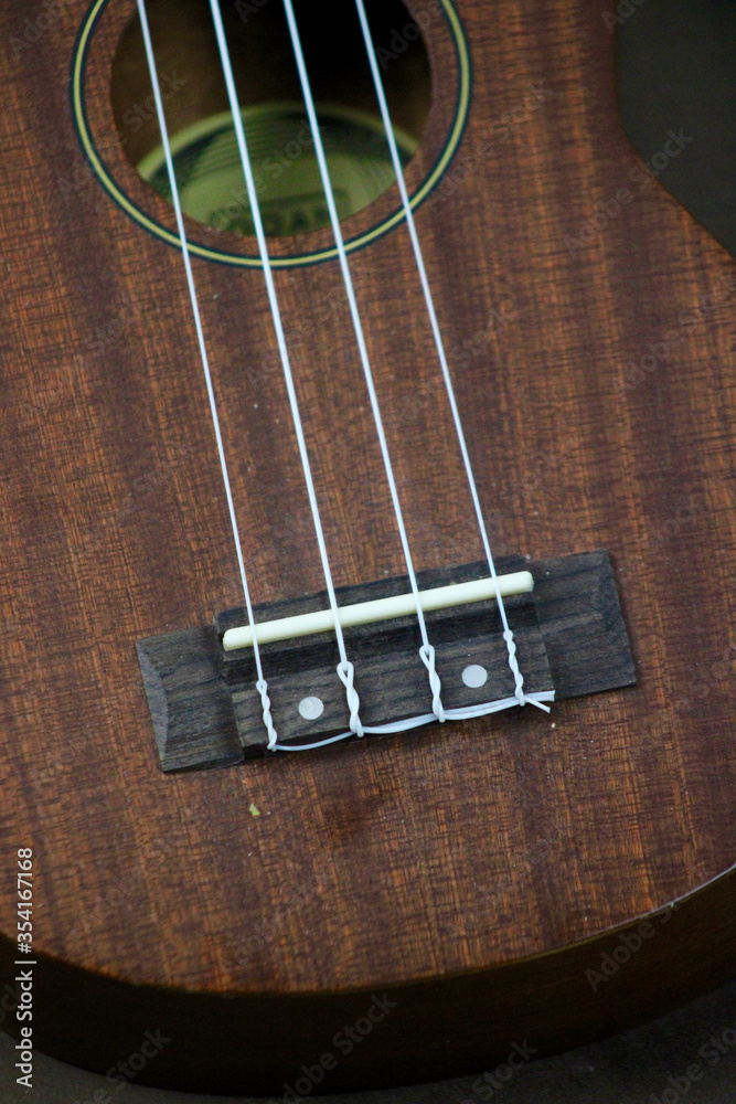 Obraz premium Ukelele