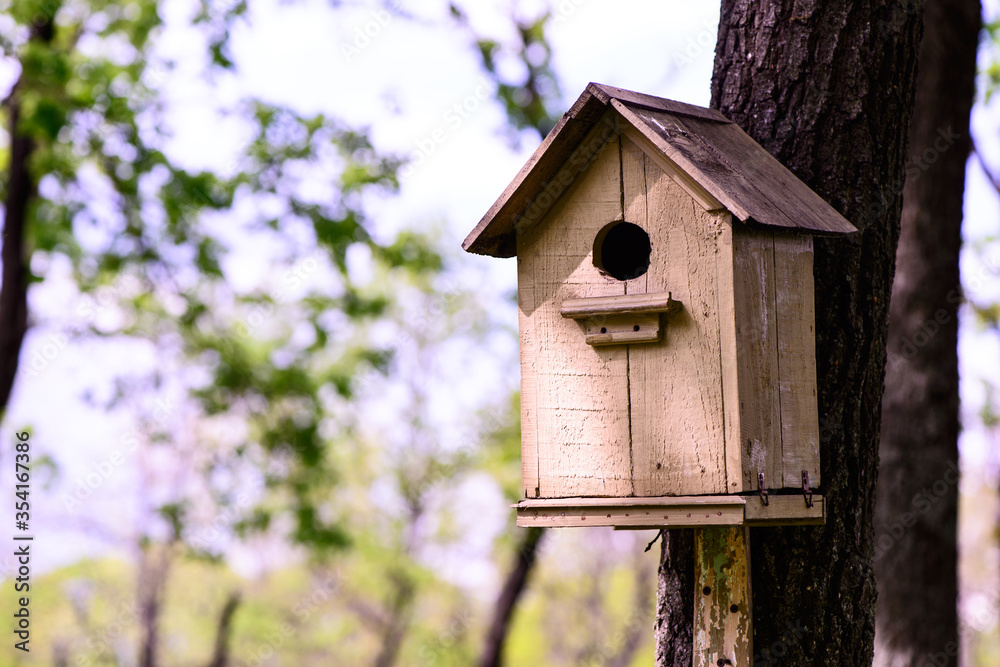 wooden birdhouse in a tree in the park nature scene wooden birdhouse in a tree in the park nature scene
