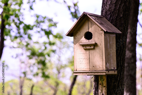 wooden birdhouse in a tree in the park nature scene