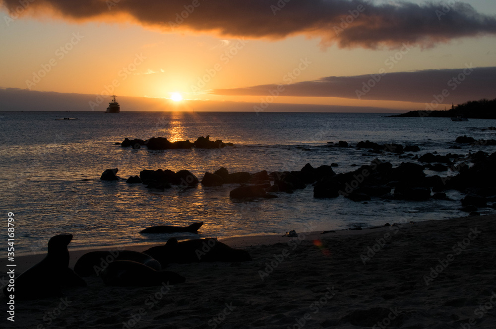 beautiful amazing sunset with sea lions in Galapagos islands
