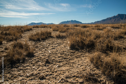 Desert landscape in New Mexico, gypsum crystals at the bottom of a dried lake, Lucero Lake photo