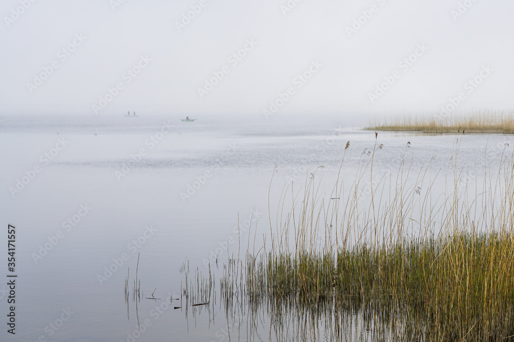 dry reeds against the backdrop of a misty lake