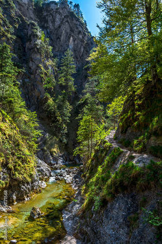 Hiking Trail Beneath Wild Mountain River In Ötschergräben in Austria