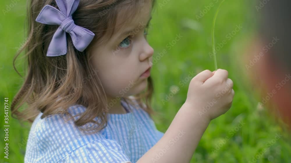 girl child in a blue striped dress and a bow stands in a green field gathers wildflowers in the afternoon girl child in a blue striped dress and a bow stands in a green field gathers wildflowers in the afternoon