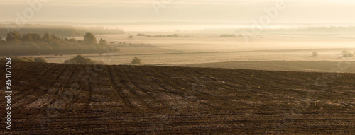 Fototapeta Naklejka Na Ścianę i Meble -   A smelling field at dawn in the fog