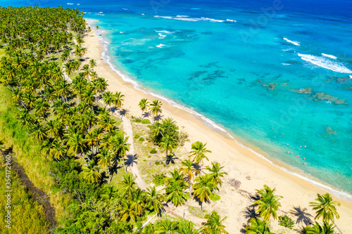 Aerial drone view of beautiful wild caribbean tropical beach with palms. Dominican Republic. Vacation background.