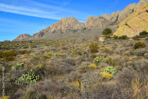 Mountain landscape with yucca, cacti and desert plants in "Organ Mountains-Desert Peaks National Monument" in New Mexico, USA