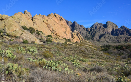 Mountain landscape with yucca, cacti and desert plants in "Organ Mountains-Desert Peaks National Monument" in New Mexico, USA