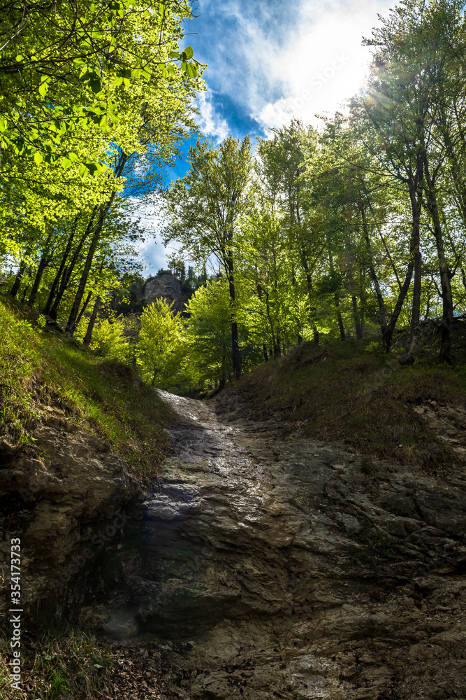 Green Mountain Forest With Bright Shining Sun In Austria