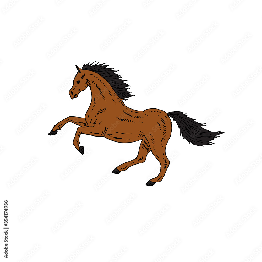 Fototapeta Vector hand drawn doodle sketch running brown bay horse isolated on white background