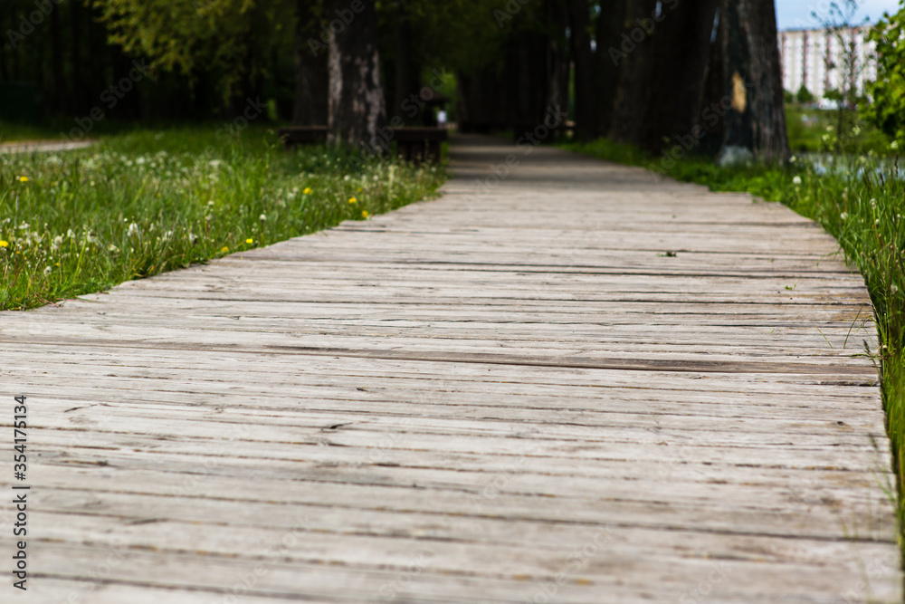 Wooden boardwalk creates path through field of green grass leading to forest.