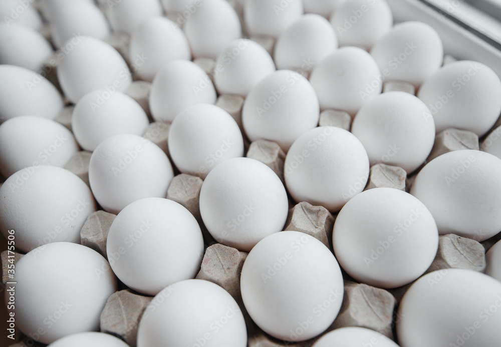 Tray of white fresh eggs close-up on a cardboard form. Agricultural industry Tray of white fresh eggs close-up on a cardboard form. Agricultural industry