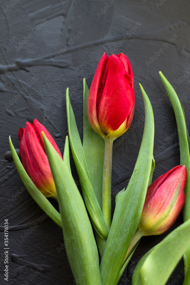 beautiful tulips a gift for a holiday beautiful tulips a gift for a holiday