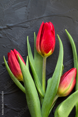 beautiful tulips a gift for a holiday