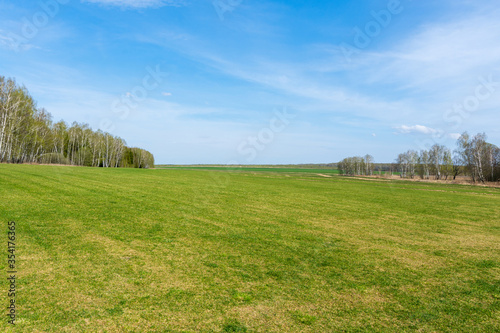 Green field