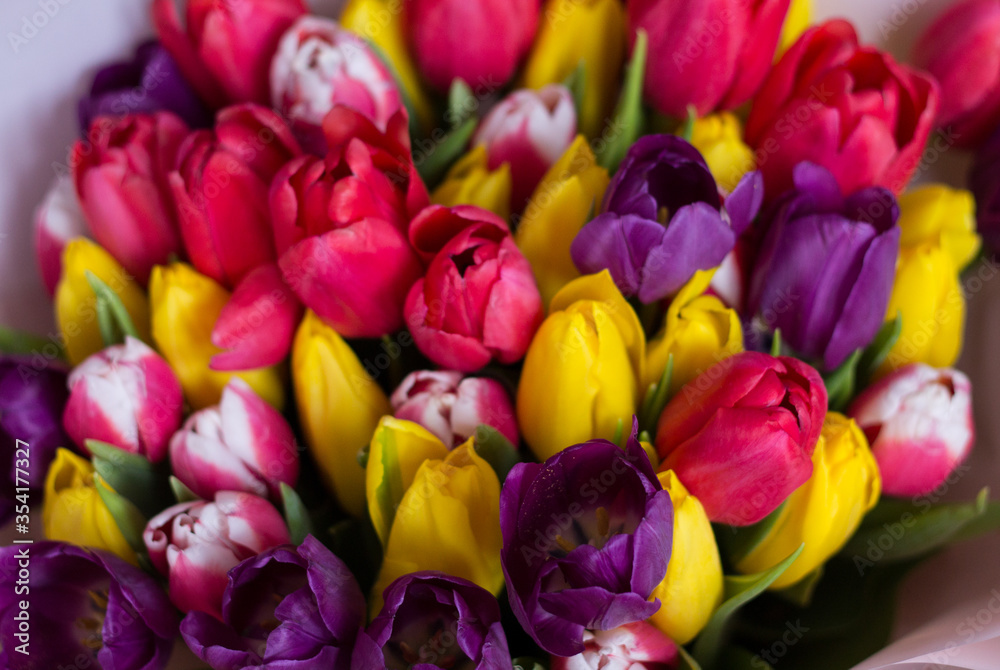 beautiful spring tulips as a symbol of love beautiful spring tulips as a symbol of love