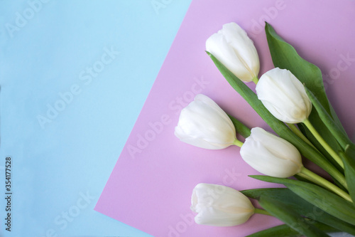 beautiful spring tulips as a symbol of love