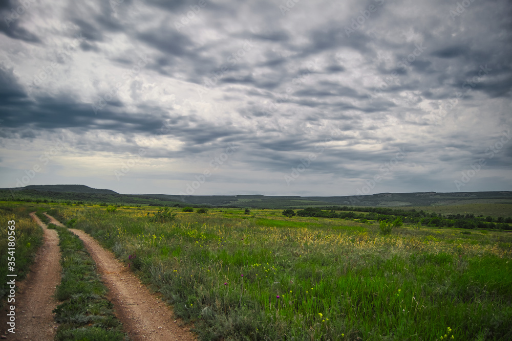 road in the field