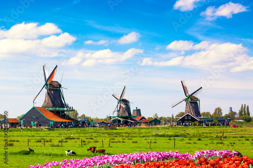 Photography Typical iconic landscape in the Netherlands, Europe