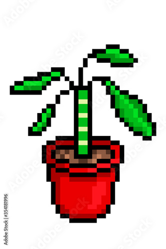 Euphorbia lophogona (Spurge) in a red pot, pixel art icon isolated on white background. 8 bit decorative potted houseplant symbol. Home/office interior element.Vintage retro slot machine/game graphics photo