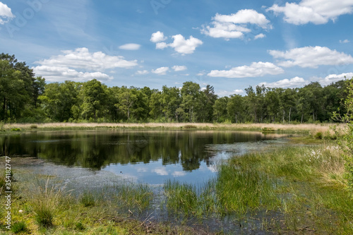 Heideweiher Naturschutz-und FFH-Gebiet Fürstenkuhle, Gescher