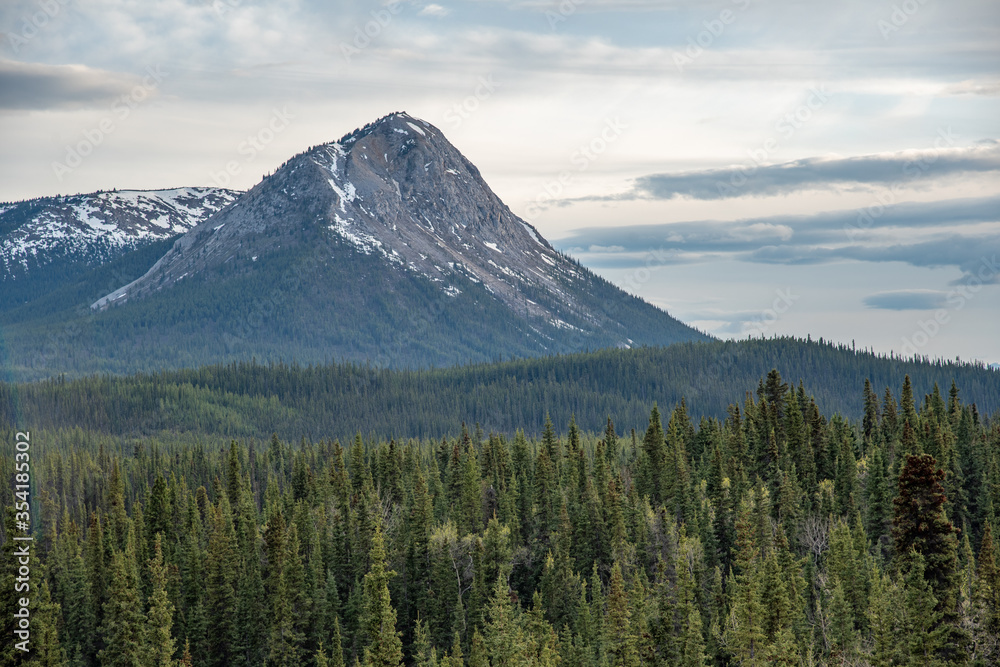 Obraz premium Beautiful large mountain in Yukon Territory, northern Canada with wilderness woods & forest in foreground. Taken off the Alaska Highway. 