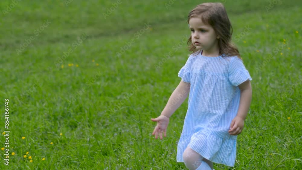 little beautiful girl in a blue dress stands in a green field with grass and holds a white dandelion in spring little beautiful girl in a blue dress stands in a green field with grass and holds a white dandelion in spring