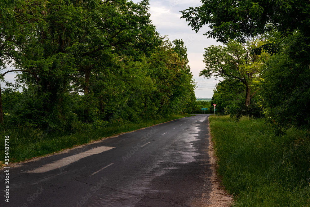 Rural road with trees in Europe, Hungary in summer