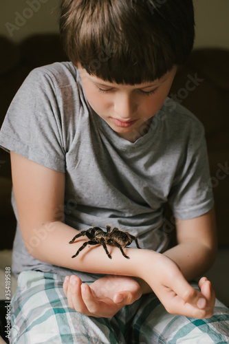 boy is afraid and looks scared at spider. terrible fear of Tarantula. Arachnophobia. Unusual pet