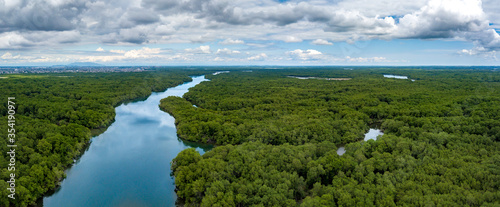 Aerial drone shot of river and heavy density mangrove trees in the gulf of Guayaquil, Ecuador. The city of Guayaquil can be seen in background far away.
