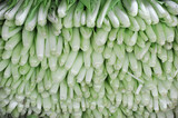 fresh bok chov vegetable stacking as pile in the market