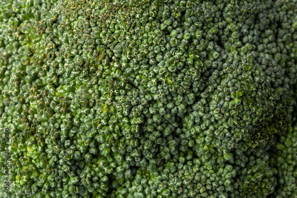 Fresh green broccoli background texture