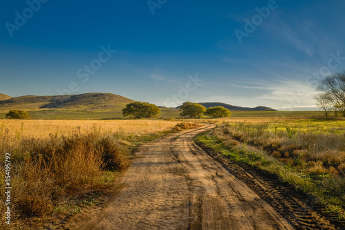 paisaje de campo argentino