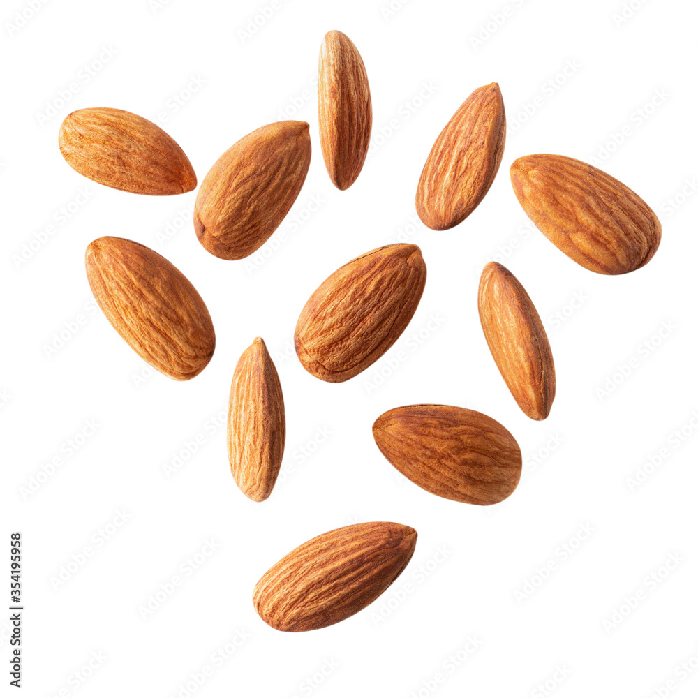 full almond fly on white isolated with clipping path full almond fly on white isolated with clipping path