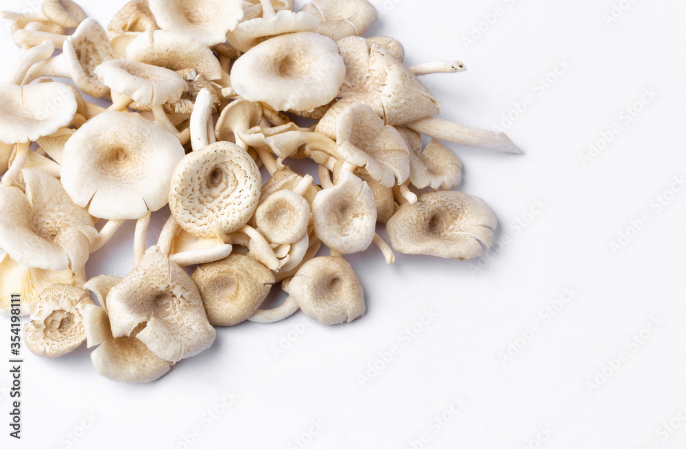 fresh whole mushrooms on white background fresh whole mushrooms on white background