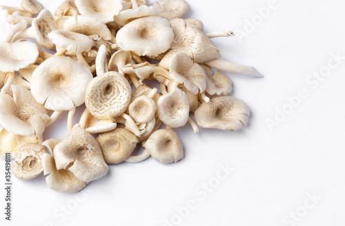 fresh whole mushrooms on white background