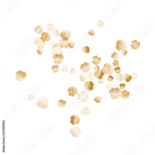 Gold seashells vector, golden pearl bivalved mollusks. 