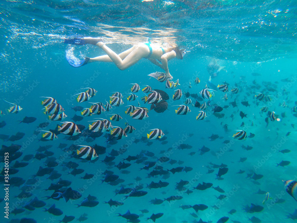 UNDERWATER: Unrecognizable woman and man feed tropical fish while snorkeling