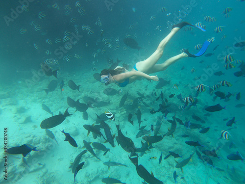 UNDERWATER: Woman snorkels and feeds friendly tropical fish swimming around.