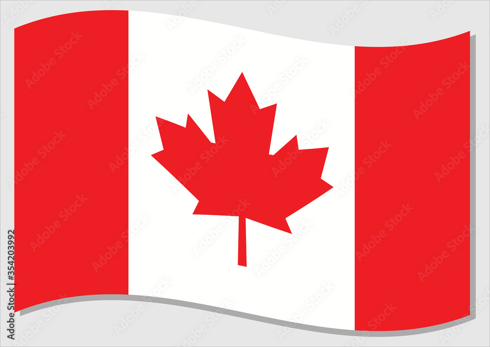 Waving flag of Canada vector graphic. Waving Canadian flag illustration. Canada country flag wavin in the wind is a symbol of freedom and independence. Waving flag of Canada vector graphic. Waving Canadian flag illustration. Canada country flag wavin in the wind is a symbol of freedom and independence.