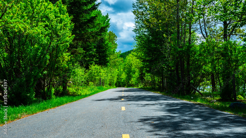 Fototapeta premium Route au milieu d'un paysage