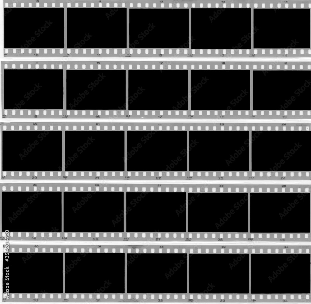 Black and White 35mm Negative Film Strips