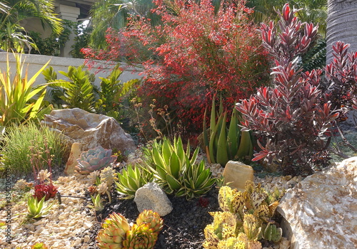 A gorgeous xeriscape with a variety of flowering plants and decorative rocks.  photo