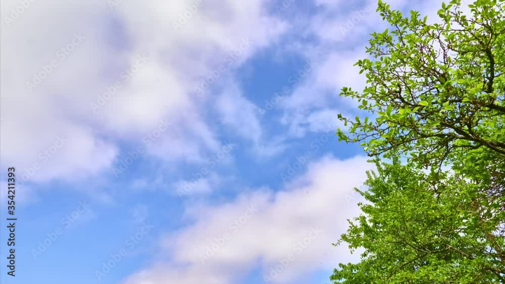 Timelapse The sky with floating clouds at sunset. View of the sky from the car window while traveling. The silhouette of the tree crowns moves slowly against the sky. color Timelapse The sky with floating clouds at sunset. View of the sky from the car window while traveling. The silhouette of the tree crowns moves slowly against the sky. color