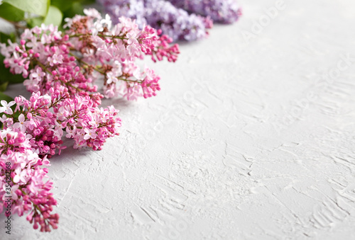 Spring flowers. Lilac flowers on a white textured background.