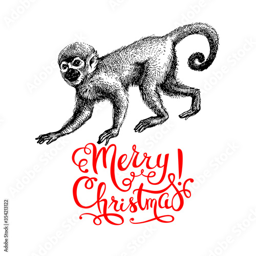 Hand drawn monkey animal vector illustration. Merry Christmas and Happy New Year card. Sketch isolated marmoset on white background