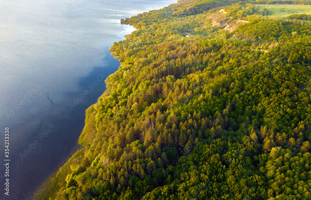 Aerial view lake and green forests on sunny morning