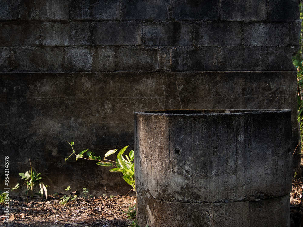 Fototapeta premium The old water well is int my home 
